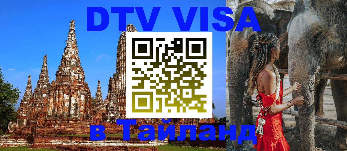Сколько стоит DTV виза — актуальные цены, оформление даже без документов - 07.01.2026 